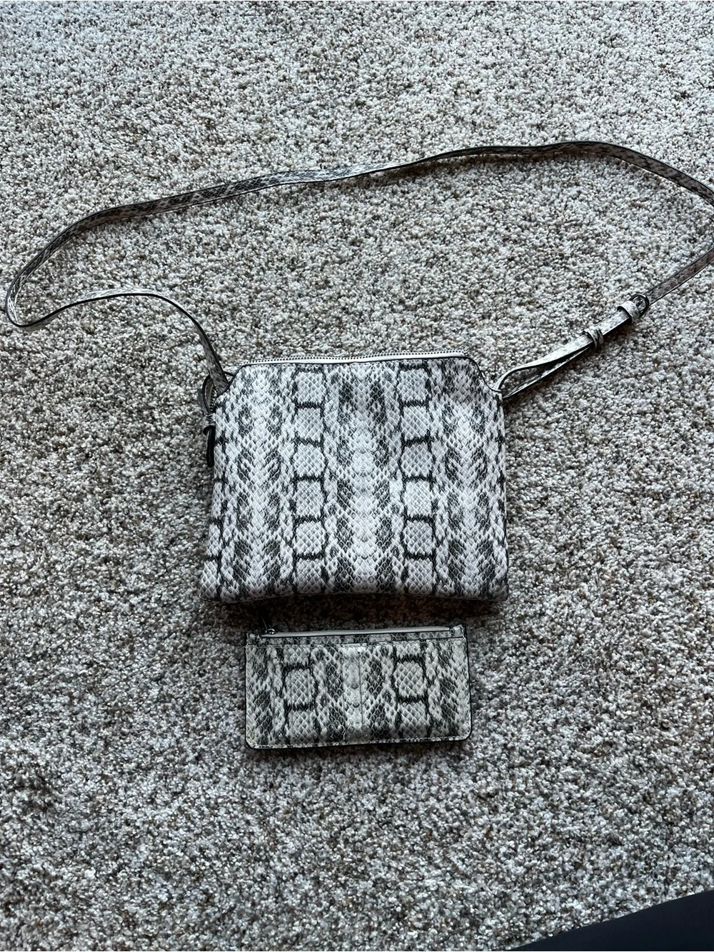 A New Day Snake-Print Crossbody Bag with Matching Card Holder